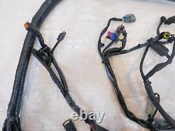 2007 07 Harley Davidson Dyna Street Bob & Low Rider Main Wiring Harness Loom