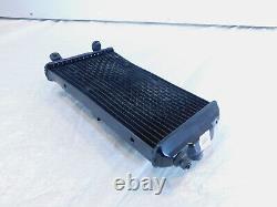 2015-2020 Harley Davidson Street XG500 500 & XG750 750 Engine Coolant Radiator