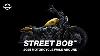 2025 Street Bob Overview Harley Davidson