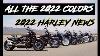 All Colors Confirmed For 2022 Harley Davidson Motorcycles 2022 Harley News Motovlog