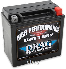 DS AGM Maintenance Free Battery YTX14L-BS Harley-Davidson Street 500 2014-2020