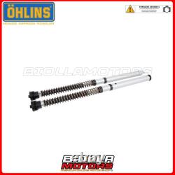 FKS 506 FORK CARTRIDGE OHLINS HARLEY DAVIDSON XG750A Street Rod 2018 30 mm N
