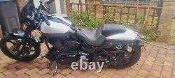 Harley Davidson CVO Pro Street Breakout FXSBE