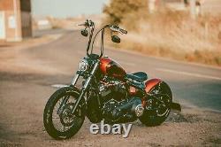 Harley Davidson Street Bob fxbb custom bobber stage 1 low mileage 107ci