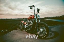 Harley Davidson Street Bob fxbb custom bobber stage 1 low mileage 107ci